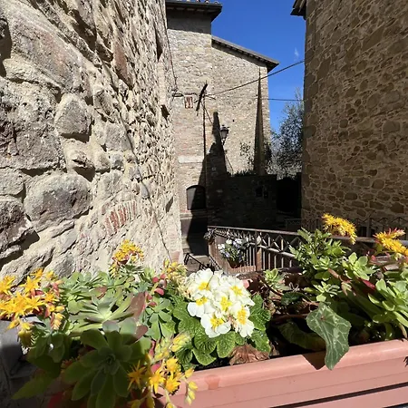 La Casina Del Borgo - Monolocale Nettuno * Perúgia