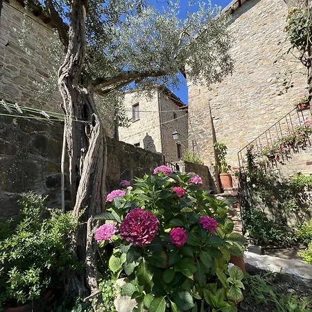 La Casina Del Borgo - Monolocale Nettuno *