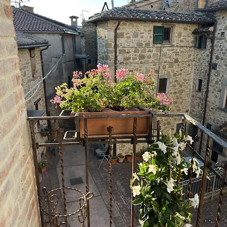La Casina Del Borgo - Monolocale Nettuno Perúgia