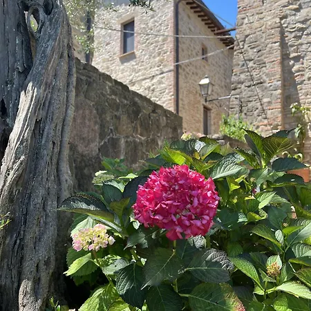 Apartamento La Casina Del Borgo - Monolocale Nettuno *