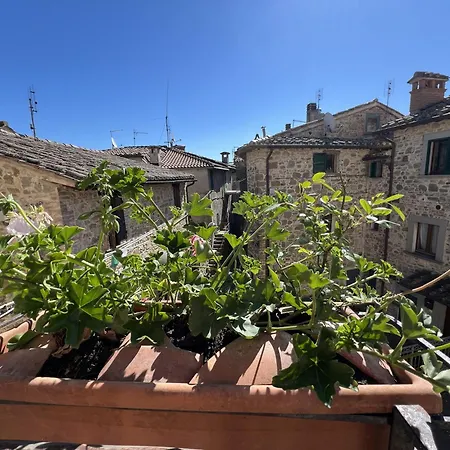 La Casina Del Borgo - Monolocale Nettuno Apartamento