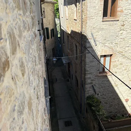 La Casina Del Borgo - Monolocale Nettuno