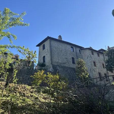 La Casina Del Borgo - Monolocale Nettuno *